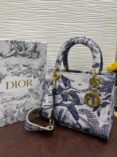 Women's multi-colored casual bag-424