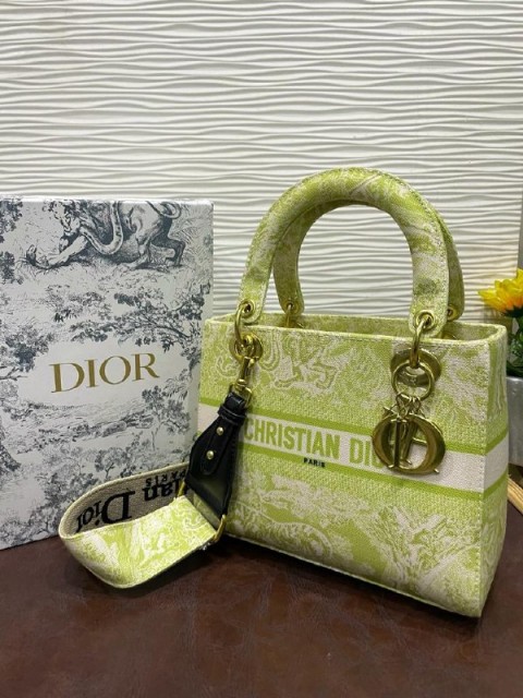 Women's multi-colored casual bag-431