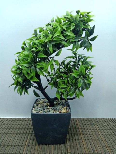 Imported square base vase