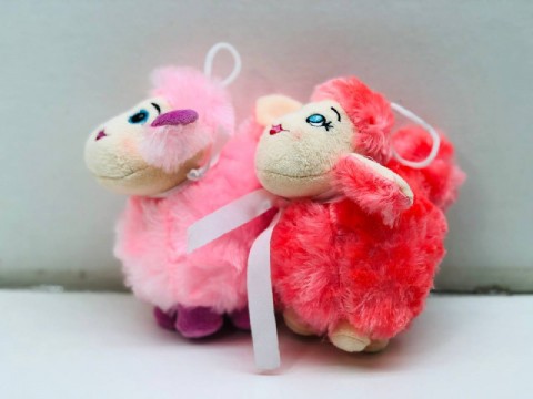 Colorful sheep
